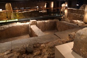 Barcino salaó de peix