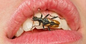 imagen bitcho en la boca