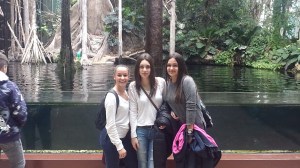 Snapchat-460030351703398466