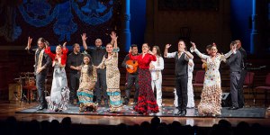 espectáculo flamenco