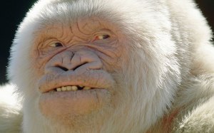 jurat_beca_floquet_neu_overlay_01