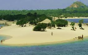 Resultado de imagen de marajó brasil